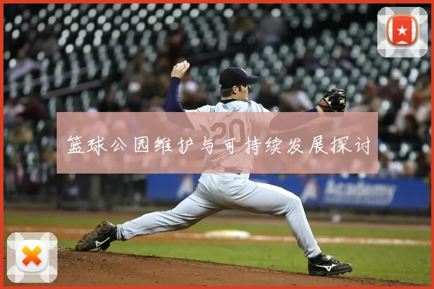 篮球公园维护与可持续发展探讨