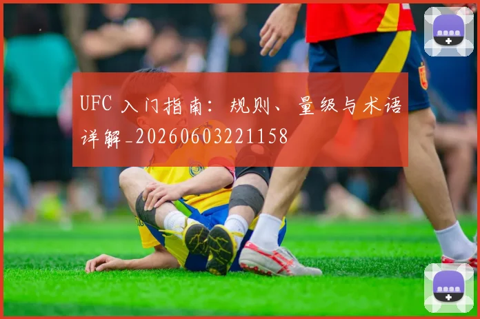 UFC 入门指南:规则、量级与术语详解_20260603221158