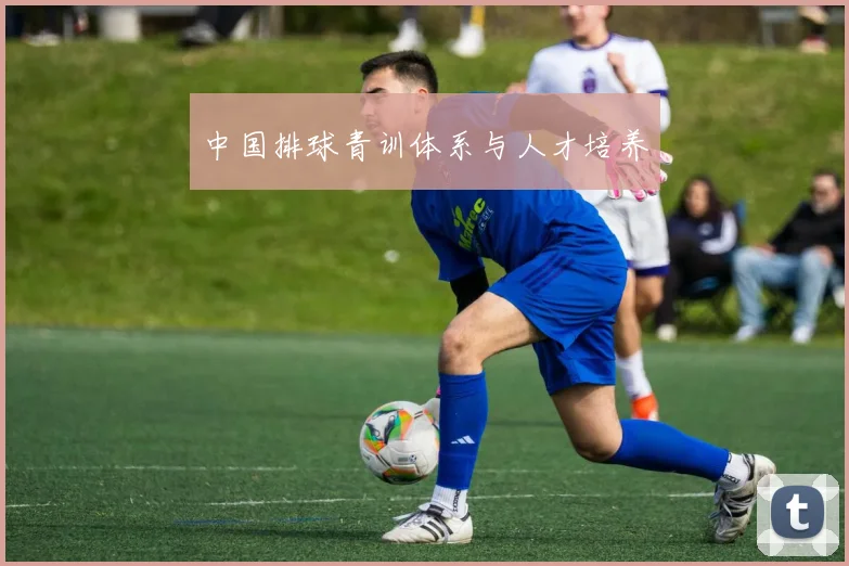 中国排球青训体系与人才培养